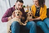 When Moving Spend Time with Your Pets