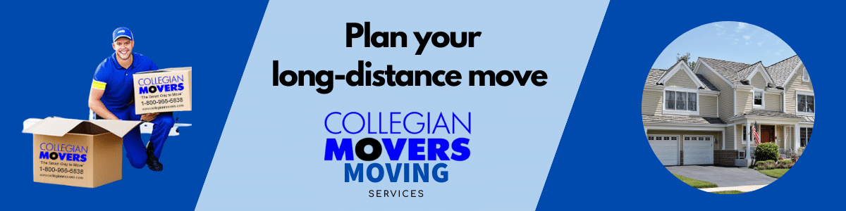 Long distance move guide (1200 × 300 px)