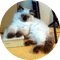 person image