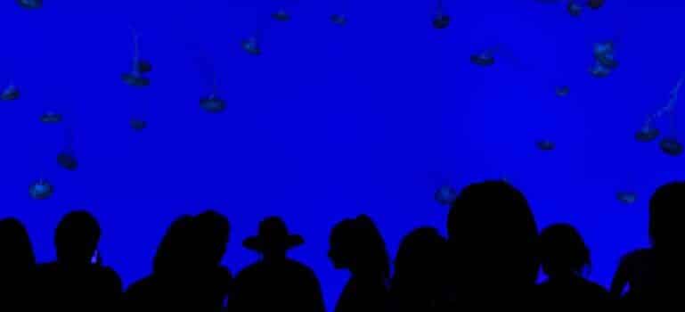 People near aquarium