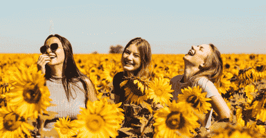 Happy people in a sunflower field who recently moved to Fairfield County