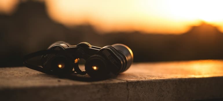 Binoculars in the sun 