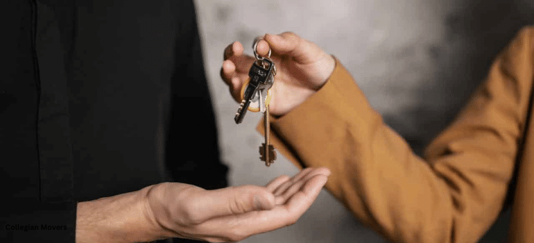the keys to a successful move to new haven