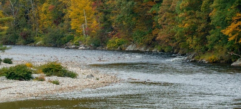 A river in Fairfield County during fall