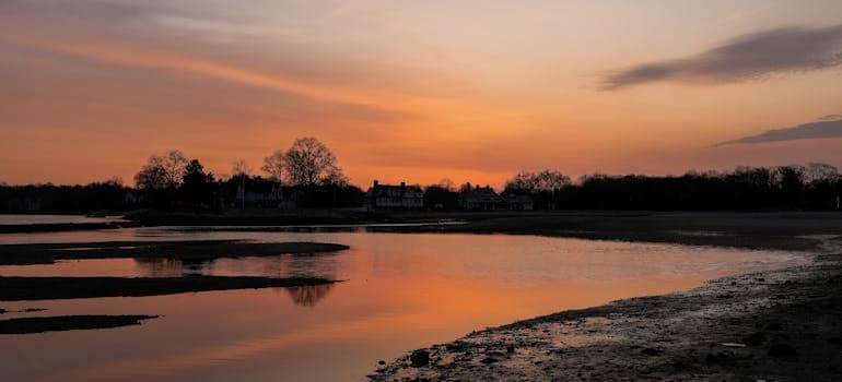 Nature during nightfall