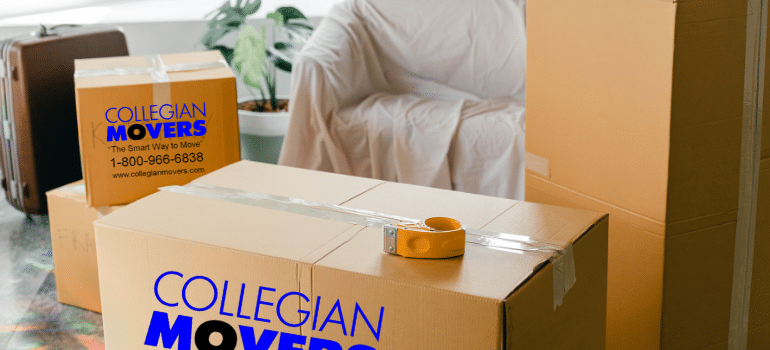 Hire professional for packers for packing a living room