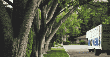 A tree-lined New Haven neighborhood with a Collegian Movers truck on the move.